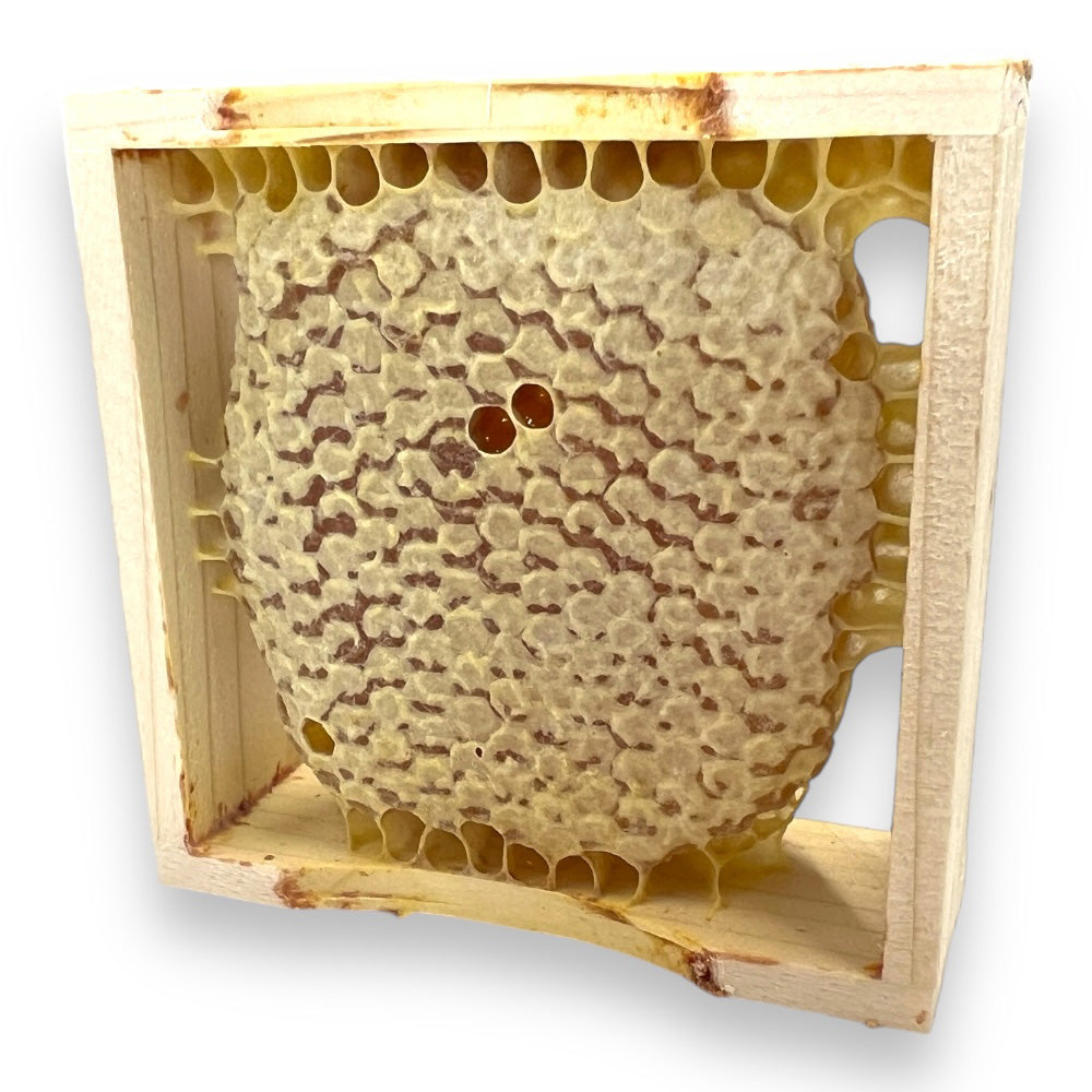 10×10 voll im Trend – Holzrähmchen für Wabenhonig mit Holzstreifen fertig gebaut im Karton (100 Stk.) verpackt