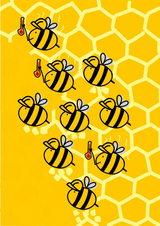 Wärmehaushalt – Bienen mit Thermometern