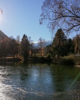 Imker-Fachstudienreise Rumänien mit Ernst Wagner und Jürgen Binder – ausverkauft